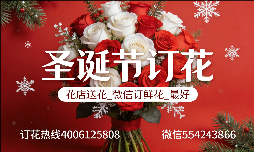 渭南蒲城县花店送花_微信订鲜花_圣诞节订花_最好? 渭南蒲城县花店